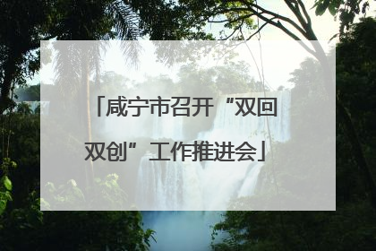 咸宁市召开“双回双创”工作推进会