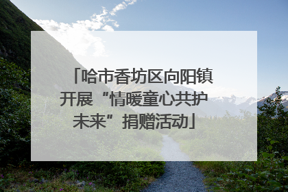 哈市香坊区向阳镇开展“情暖童心共护未来”捐赠活动