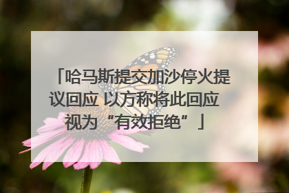 哈马斯提交加沙停火提议回应 以方称将此回应视为“有效拒绝”