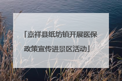嘉祥县纸坊镇开展医保政策宣传进景区活动