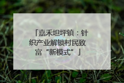 嘉禾坦坪镇：针织产业解锁村民致富“新模式”