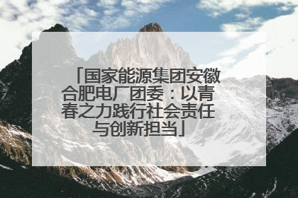 国家能源集团安徽合肥电厂团委：以青春之力践行社会责任与创新担当