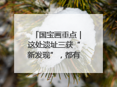 国宝画重点｜这处遗址三获“新发现”，都有啥看点？