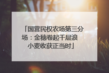 国营民权农场第三分场：金穗卷起千层浪 小麦收获正当时