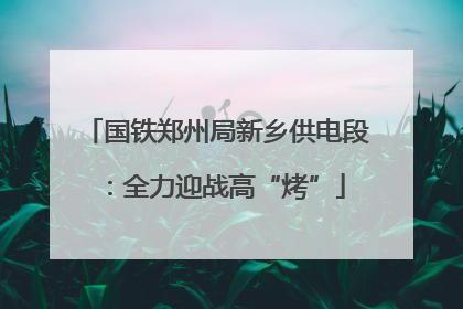 国铁郑州局新乡供电段：全力迎战高“烤”
