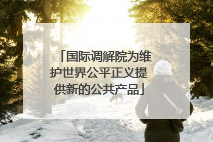 国际调解院为维护世界公平正义提供新的公共产品