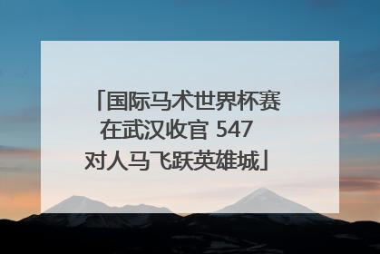 国际马术世界杯赛在武汉收官 547对人马飞跃英雄城