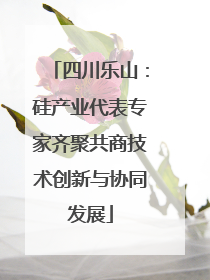 四川乐山：硅产业代表专家齐聚共商技术创新与协同发展