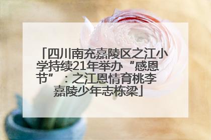 四川南充嘉陵区之江小学持续21年举办“感恩节”：之江恩情育桃李 嘉陵少年志栋梁
