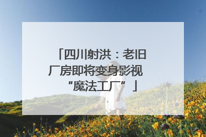 四川射洪：老旧厂房即将变身影视“魔法工厂”