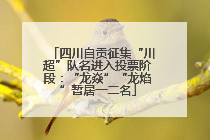 四川自贡征集“川超”队名进入投票阶段：“龙焱”“龙焰”暂居一二名