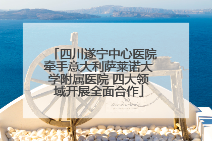 四川遂宁中心医院牵手意大利萨莱诺大学附属医院 四大领域开展全面合作