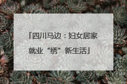 四川马边：妇女居家就业“绣”新生活