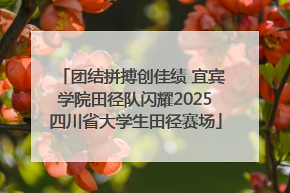 团结拼搏创佳绩 宜宾学院田径队闪耀2025四川省大学生田径赛场