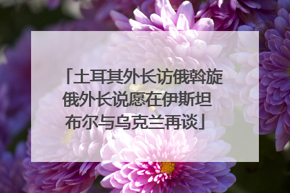 土耳其外长访俄斡旋 俄外长说愿在伊斯坦布尔与乌克兰再谈