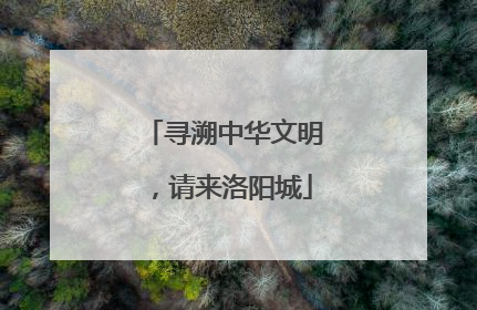 寻溯中华文明，请来洛阳城