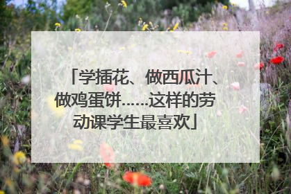 学插花、做西瓜汁、做鸡蛋饼……这样的劳动课学生最喜欢