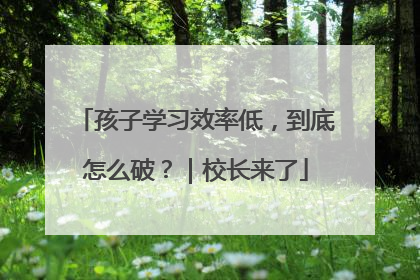孩子学习效率低，到底怎么破？｜校长来了