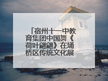 宿州十一中教育集团中国舞《荷叶翩翩》在埇桥区传统文化展演中大放异彩