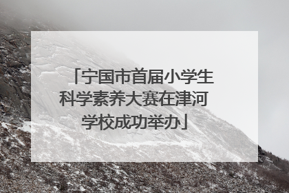 宁国市首届小学生科学素养大赛在津河学校成功举办