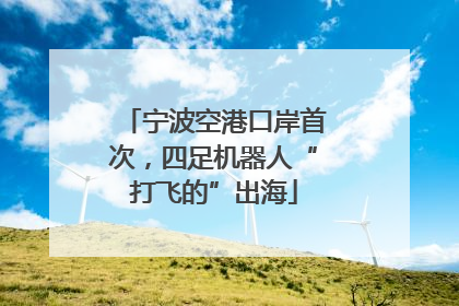 宁波空港口岸首次，四足机器人“打飞的”出海