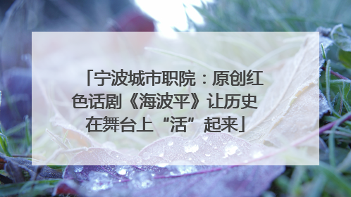 宁波城市职院：原创红色话剧《海波平》让历史在舞台上“活”起来