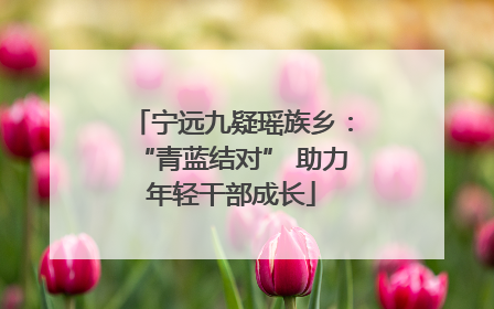 宁远九疑瑶族乡：“青蓝结对” 助力年轻干部成长