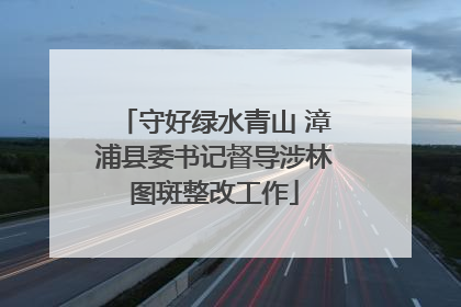 守好绿水青山 漳浦县委书记督导涉林图斑整改工作