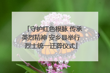 守护红色根脉 传承英烈精神 安乡县举行烈士统一迁葬仪式