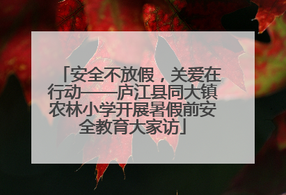 安全不放假，关爱在行动——庐江县同大镇农林小学开展暑假前安全教育大家访