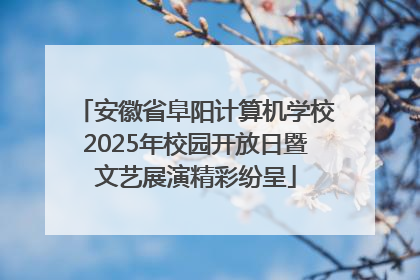 安徽省阜阳计算机学校2025年校园开放日暨文艺展演精彩纷呈
