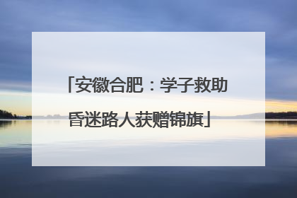 安徽合肥：学子救助昏迷路人获赠锦旗