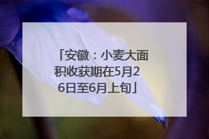 安徽：小麦大面积收获期在5月26日至6月上旬