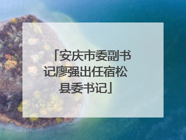 安庆市委副书记廖强出任宿松县委书记