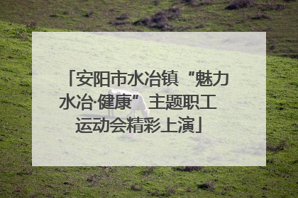 安阳市水冶镇“魅力水冶·健康”主题职工运动会精彩上演
