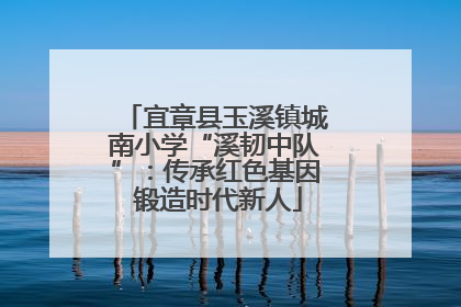 宜章县玉溪镇城南小学“溪韧中队”：传承红色基因 锻造时代新人