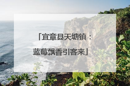 宜章县天塘镇：蓝莓飘香引客来
