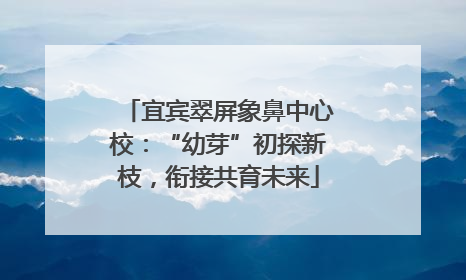 宜宾翠屏象鼻中心校：“幼芽”初探新枝，衔接共育未来