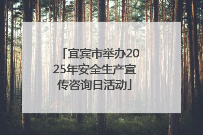 宜宾市举办2025年安全生产宣传咨询日活动