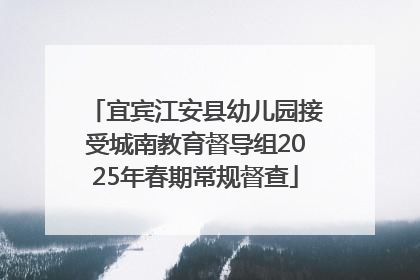 宜宾江安县幼儿园接受城南教育督导组2025年春期常规督查
