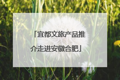 宜都文旅产品推介走进安徽合肥