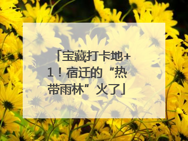 宝藏打卡地+1！宿迁的“热带雨林”火了