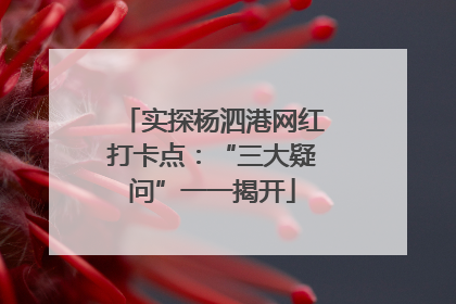 实探杨泗港网红打卡点：“三大疑问”一一揭开