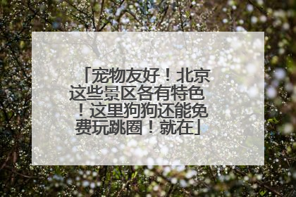 宠物友好！北京这些景区各有特色！这里狗狗还能免费玩跳圈！就在
