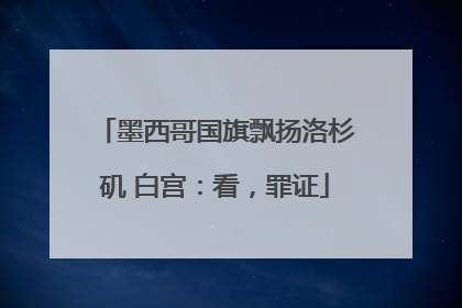 墨西哥国旗飘扬洛杉矶 白宫：看，罪证