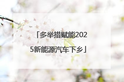 多举措赋能2025新能源汽车下乡