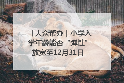 大众帮办｜小学入学年龄能否“弹性”放宽至12月31日？有地方已在探索