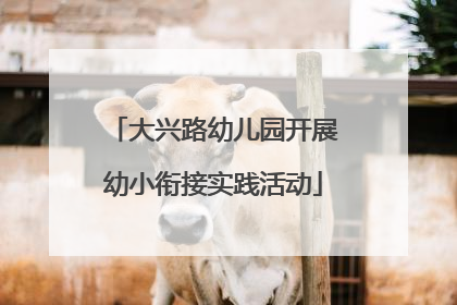 大兴路幼儿园开展幼小衔接实践活动