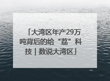 大湾区年产29万吨背后的给“荔”科技｜数说大湾区