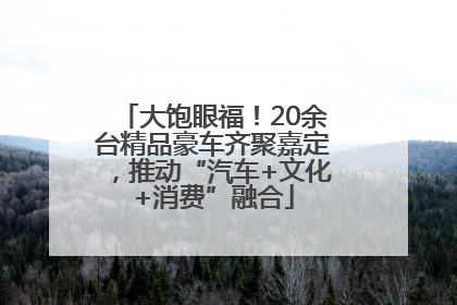 大饱眼福！20余台精品豪车齐聚嘉定，推动“汽车+文化+消费”融合